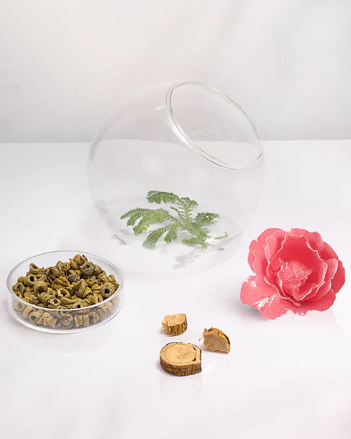 Moisturizing Ginseng Lip Mask - Nüwa BeautyFlorasis