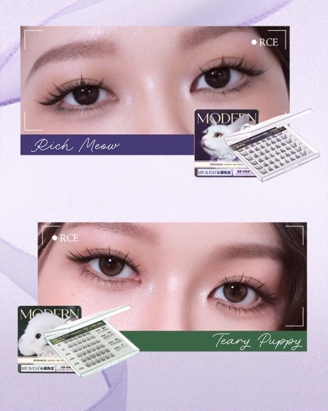 Mr Wish Rich Meow Glue - Free Lashes - Nüwa BeautyMr Wish