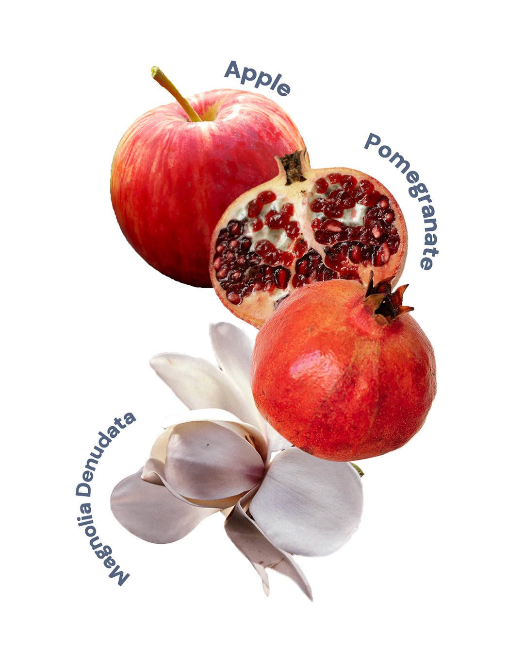 Shell's Jewel perfume Crystal Apple 50ml - Nüwa BeautyFlower Knows