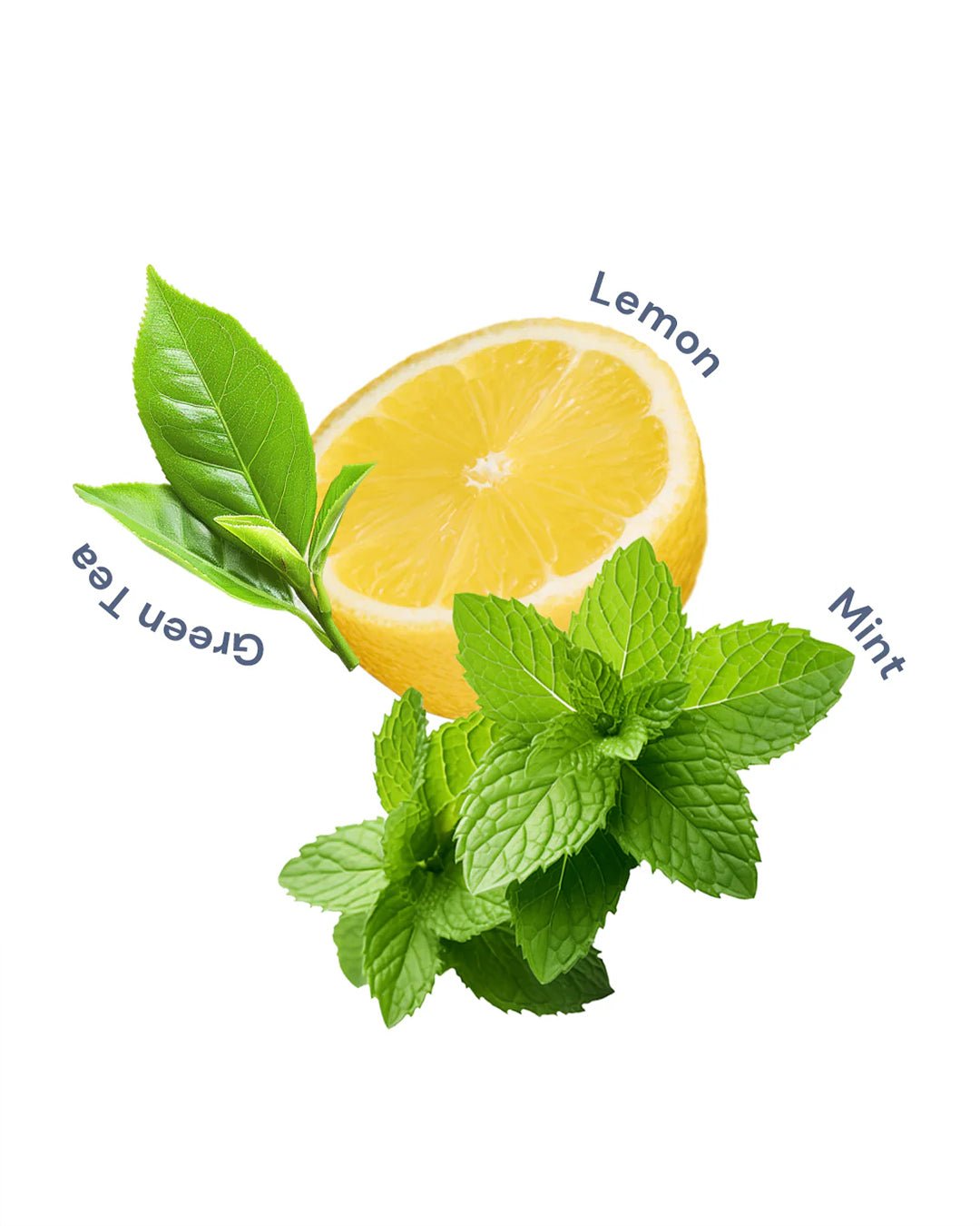 Shell's Jewel perfume Lemon Ice Tea 50ml - Nüwa BeautyFlower Knows
