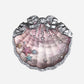 Shell's Jewel Silk Satin Blush 04 Beach Starfish - Nüwa BeautyFlower Knows